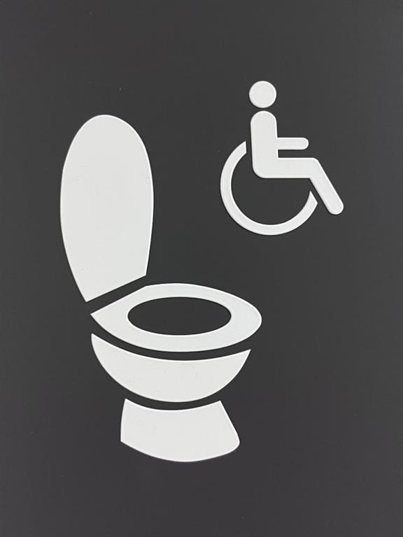 ToiletAccessible