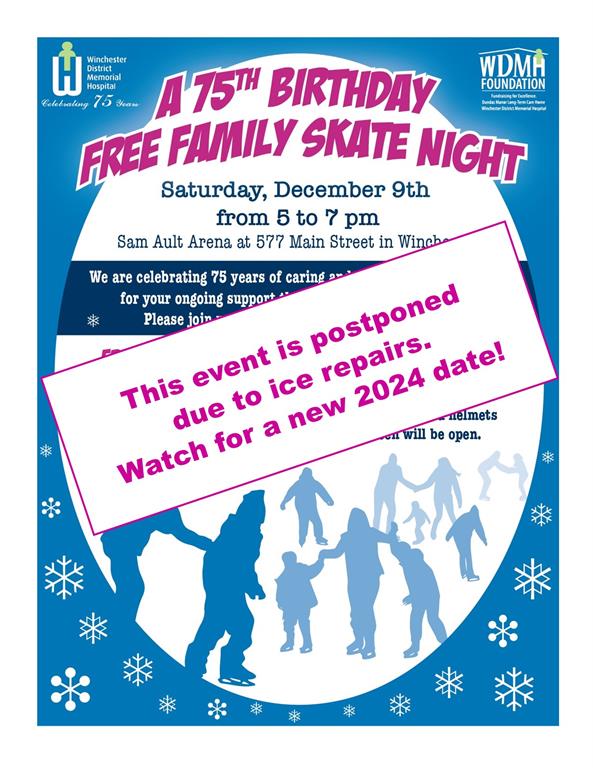 skate night poster